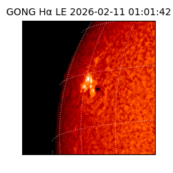 gong - 2026-02-11T01:01:42