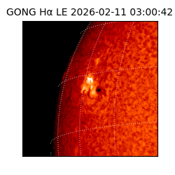 gong - 2026-02-11T03:00:42