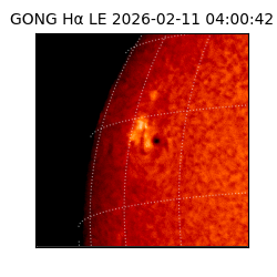 gong - 2026-02-11T04:00:42