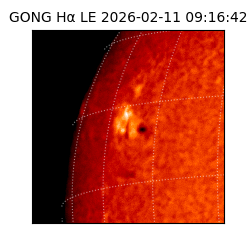 gong - 2026-02-11T09:16:42