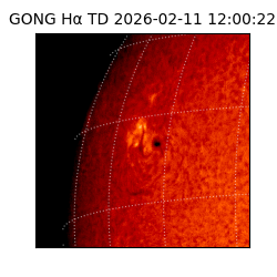 gong - 2026-02-11T12:00:22