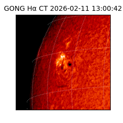 gong - 2026-02-11T13:00:42