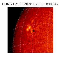 gong - 2026-02-11T18:00:42
