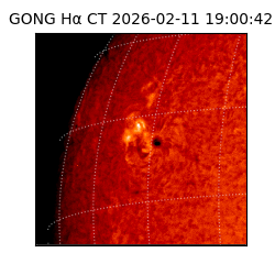 gong - 2026-02-11T19:00:42