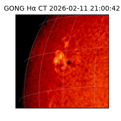 gong - 2026-02-11T21:00:42
