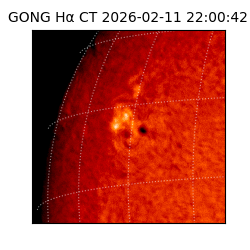 gong - 2026-02-11T22:00:42