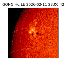 gong - 2026-02-11T23:00:42