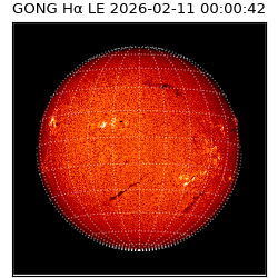 gong - 2026-02-11T00:00:42