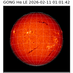gong - 2026-02-11T01:01:42