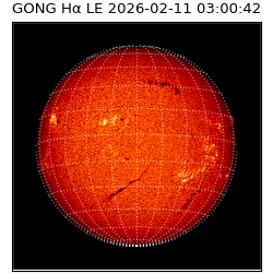 gong - 2026-02-11T03:00:42
