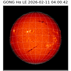gong - 2026-02-11T04:00:42