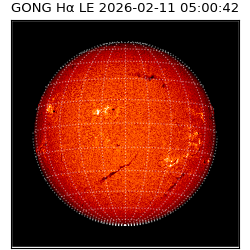 gong - 2026-02-11T05:00:42