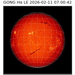 gong - 2026-02-11T07:00:42