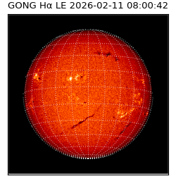 gong - 2026-02-11T08:00:42