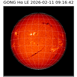 gong - 2026-02-11T09:16:42