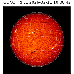 gong - 2026-02-11T10:00:42