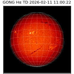 gong - 2026-02-11T11:00:22