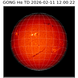gong - 2026-02-11T12:00:22