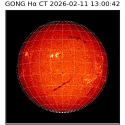gong - 2026-02-11T13:00:42