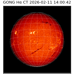 gong - 2026-02-11T14:00:42