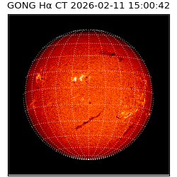gong - 2026-02-11T15:00:42