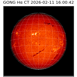 gong - 2026-02-11T16:00:42