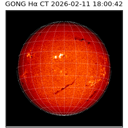 gong - 2026-02-11T18:00:42