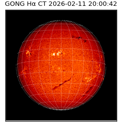 gong - 2026-02-11T20:00:42