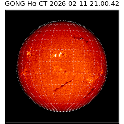 gong - 2026-02-11T21:00:42