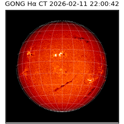 gong - 2026-02-11T22:00:42