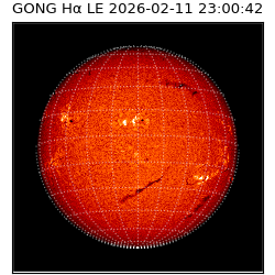 gong - 2026-02-11T23:00:42