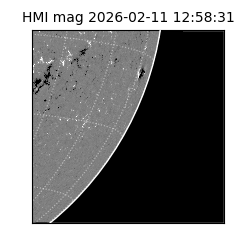 shmi - 2026-02-11T12:58:31.500000