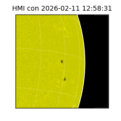shmi - 2026-02-11T12:58:31.500000