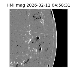 shmi - 2026-02-11T04:58:31.600000