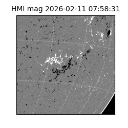 shmi - 2026-02-11T07:58:31.600000