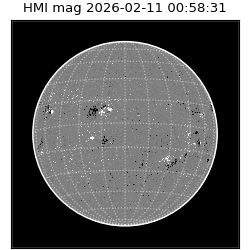 shmi - 2026-02-11T00:58:31.500000