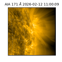 saia - 2026-02-12T11:00:09.350000