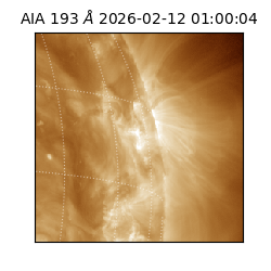 saia - 2026-02-12T01:00:04.846000