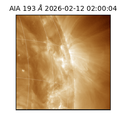 saia - 2026-02-12T02:00:04.843000