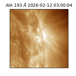 saia - 2026-02-12T03:00:04.843000