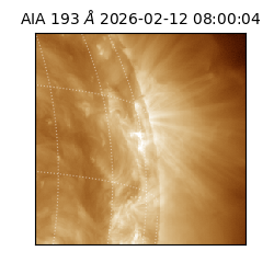 saia - 2026-02-12T08:00:04.835000