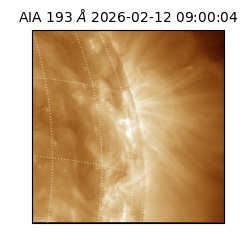 saia - 2026-02-12T09:00:04.843000