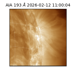 saia - 2026-02-12T11:00:04.843000