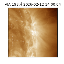 saia - 2026-02-12T14:00:04.835000