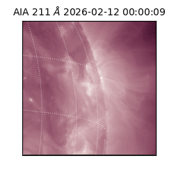 saia - 2026-02-12T00:00:09.631000