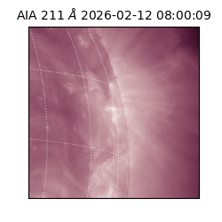 saia - 2026-02-12T08:00:09.619000