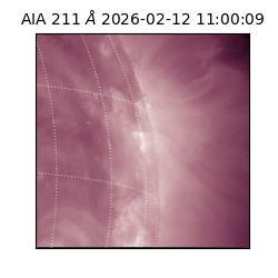 saia - 2026-02-12T11:00:09.626000