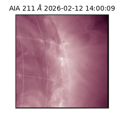 saia - 2026-02-12T14:00:09.618000