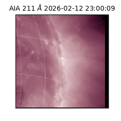 saia - 2026-02-12T23:00:09.622000