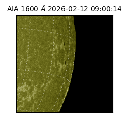 saia - 2026-02-12T09:00:14.131000